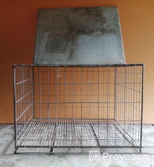বড় খাঁচা ২.৫ ফুট সাইজ