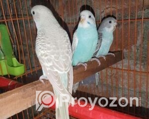 fitted-54_2025-10-26_11-08-20