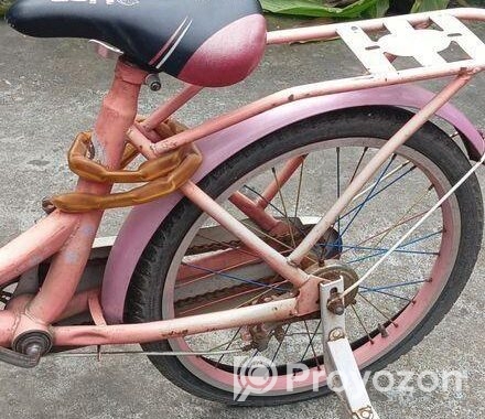 Kid’s Bicycle