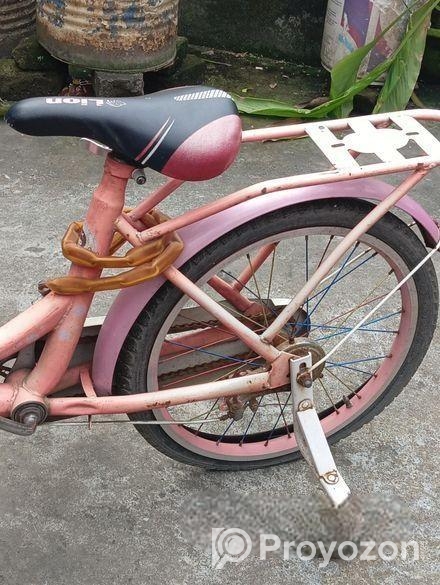 Kid’s Bicycle