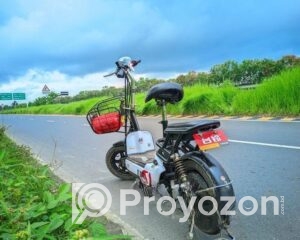 fitted-55_2025-10-19_11-50-33