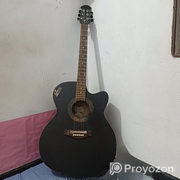 Original Signature Guitar
