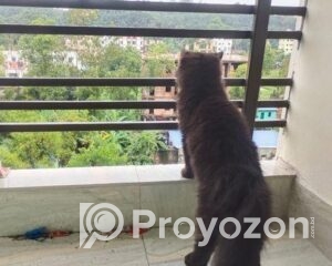 fitted-55_2025-10-27_22-54-06