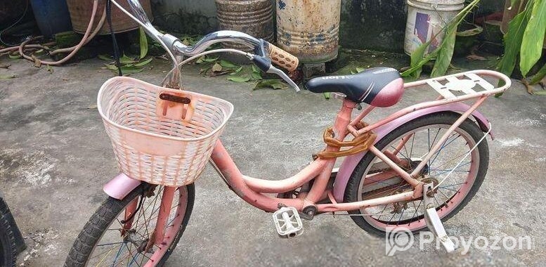 Kid’s Bicycle