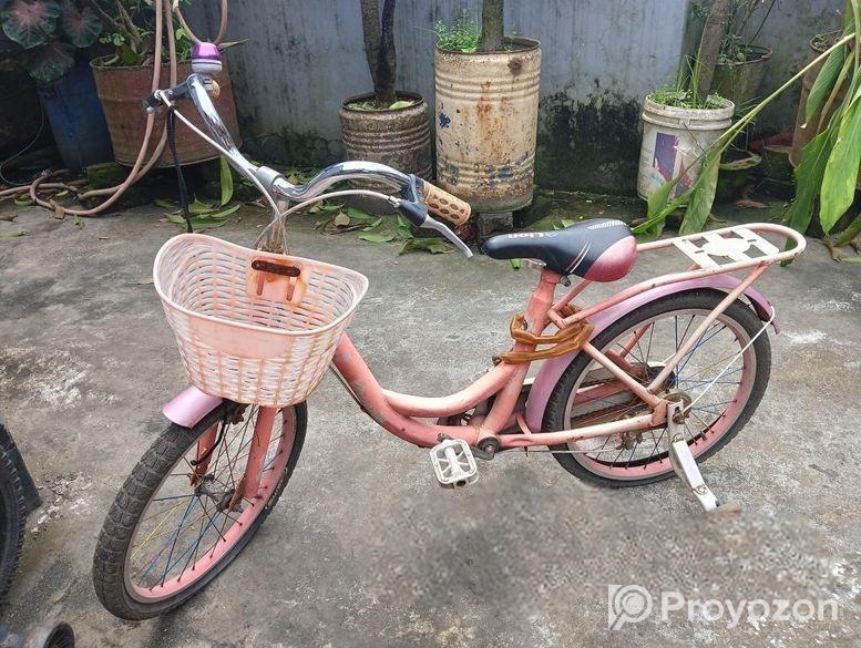 Kid’s Bicycle