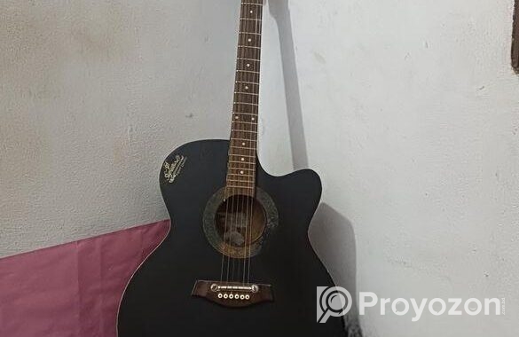 Original Signature Guitar