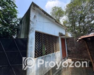 fitted-56_2025-10-29_18-41-58