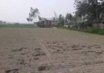 জরুরি প্রয়োজন এ জমি বিক্রি