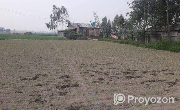 জরুরি প্রয়োজন এ জমি বিক্রি