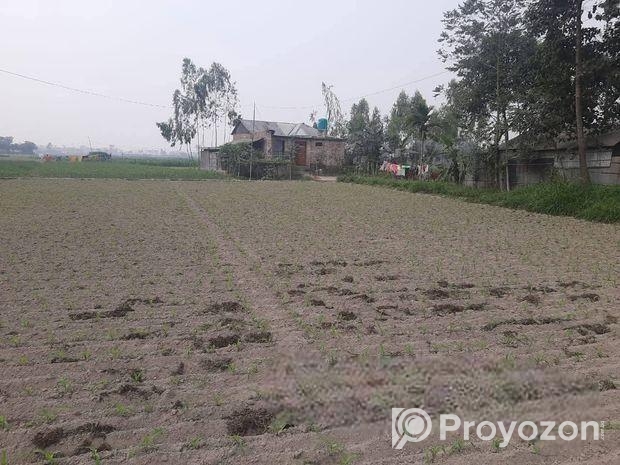 জরুরি প্রয়োজন এ জমি বিক্রি