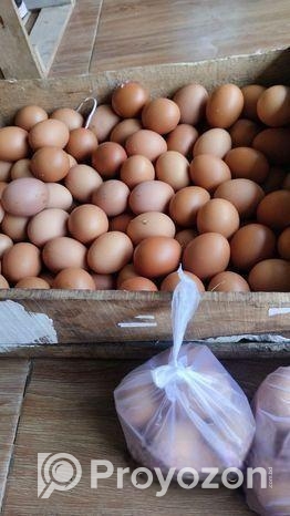 টাইগার মুরগির বীজ ডিম