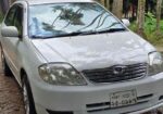 Toyota Corolla 2003