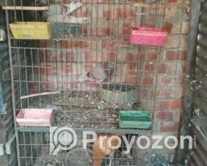 fitted-57_2025-10-25_23-07-06