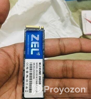 ZEL 256GB SSD 100% health