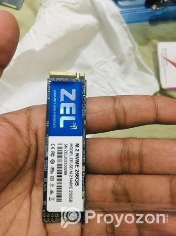ZEL 256GB SSD 100% health