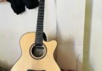 Ad530 মডেল এর একটি গিটার সেল দেওয়া হবে