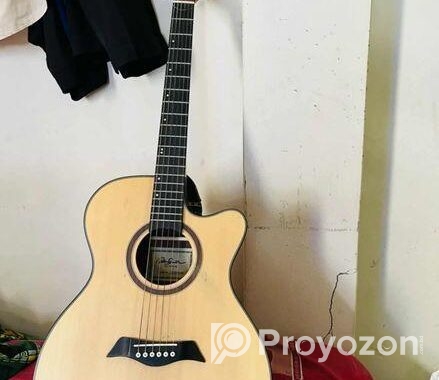 Ad530 মডেল এর একটি গিটার সেল দেওয়া হবে