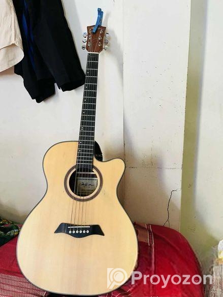 Ad530 মডেল এর একটি গিটার সেল দেওয়া হবে