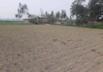 জরুরি প্রয়োজন এ জমি বিক্রি