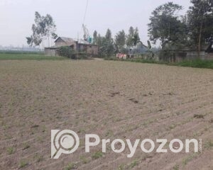 fitted-58_2025-10-08_11-38-33