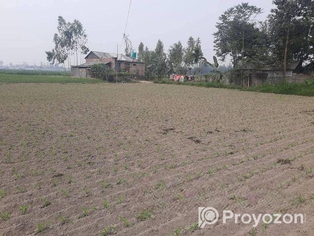 জরুরি প্রয়োজন এ জমি বিক্রি