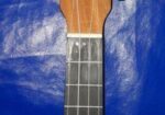 ইউকেলেলে Ukelele