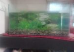Aquarium 2 Fit