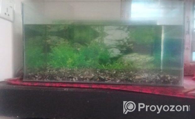 Aquarium 2 Fit
