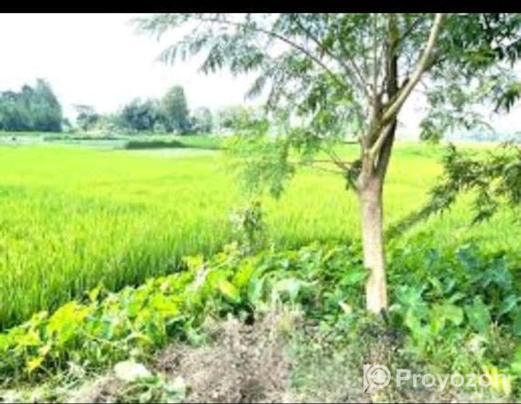 18 Sotangso Daner Jomin Bikri Hobe