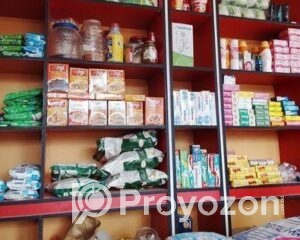 fitted-5_2025-10-29_09-38-14