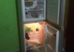 Fridge for sell