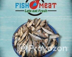 fitted-60_2025-10-29_10-54-24