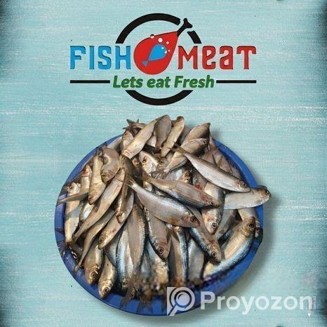 বাজারে না গিয়েই ঘরে বসে পান তাজা মাছ — রেডি টু কুক বা গোটা, যেভাব