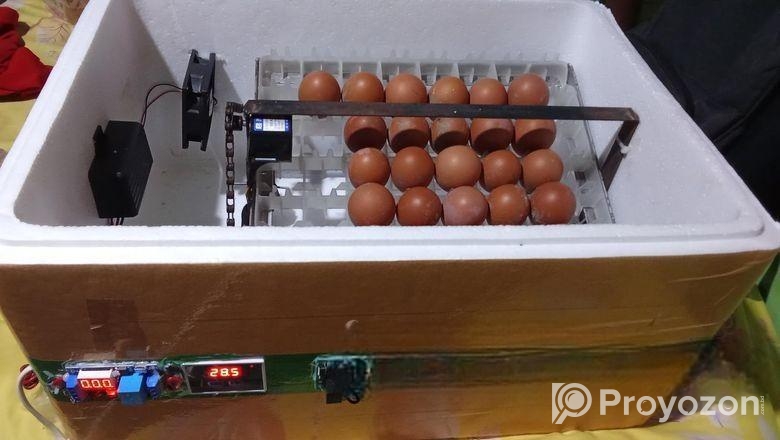 ডিম থেকে বাচ্চা ফুটানোর মেশিন