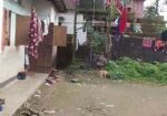 ৫ ডেসিমেল জায়গা বিক্রয়