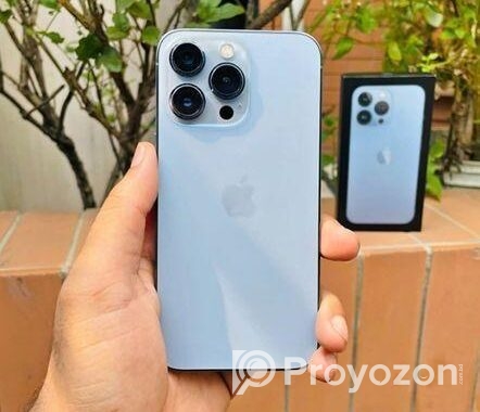 Apple iPhone 13 Pro Max (Used)
