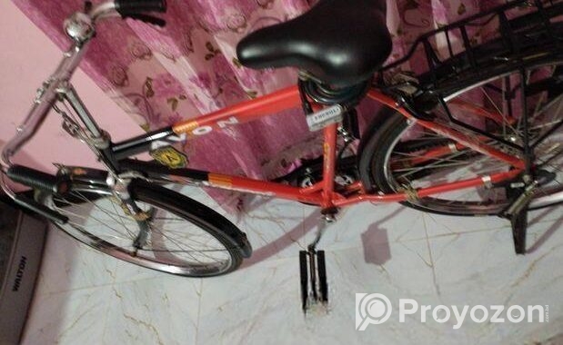 Indan avon cycle