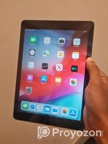 Apple Ipad Air 1st Gen (used)