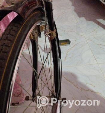 Indan avon cycle