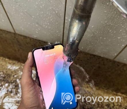 Apple iPhone 13 Pro Max (Used)