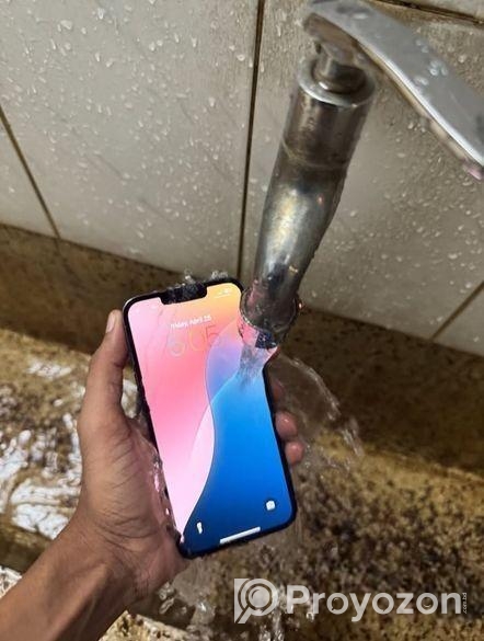 Apple iPhone 13 Pro Max (Used)