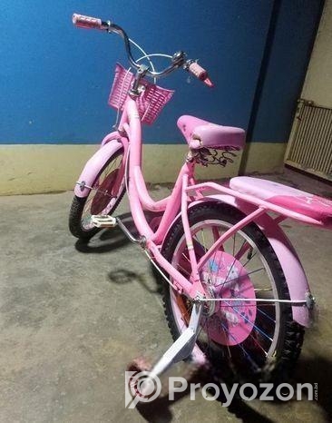 Phoenix ( বাচ্চাদের সাইকেল)