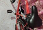 Indan avon cycle