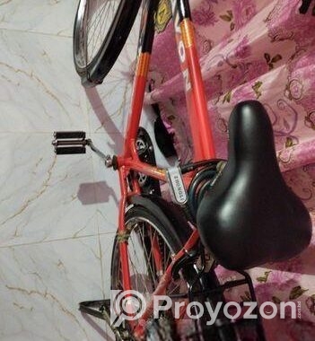 Indan avon cycle