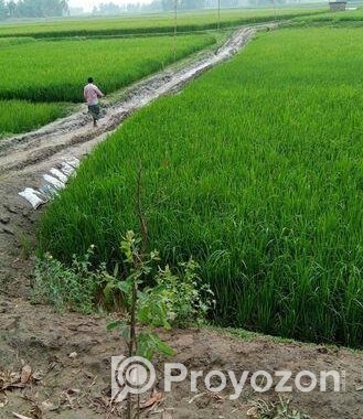 Land For Sell