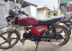 Walton Cruize 100 2020