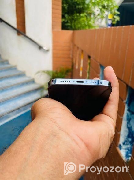 Apple iPhone 13 Pro Max (Used)
