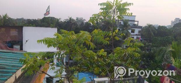 Neem Gach 11 Feet Ar Bikri Hobe