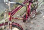 Avon Cycel