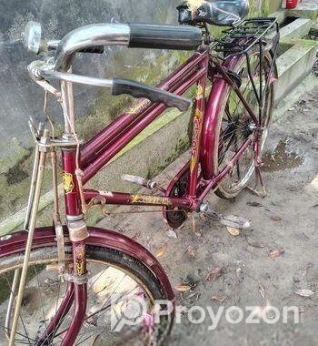 Avon Cycel